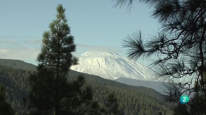 Telecanarias - Telecanarias 2 -06/02/2023