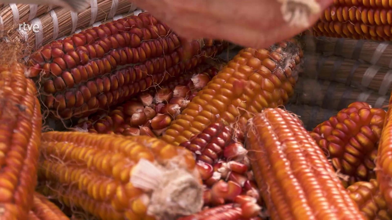 Aquí la Tierra - 07/02/23 - ver ahora