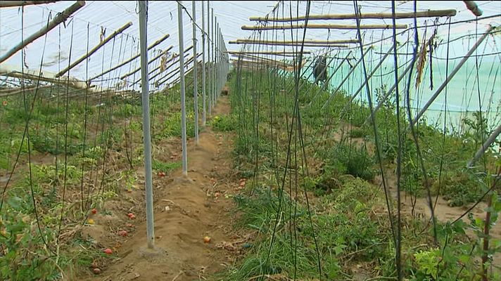 Noticias Andalucía - Granizo en Sanlúcar de Barrameda