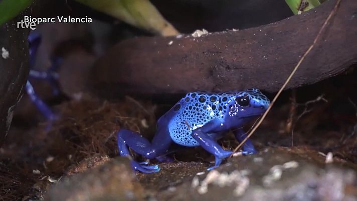 Aquí la Tierra - Aquí la Tierra - 08/02/23