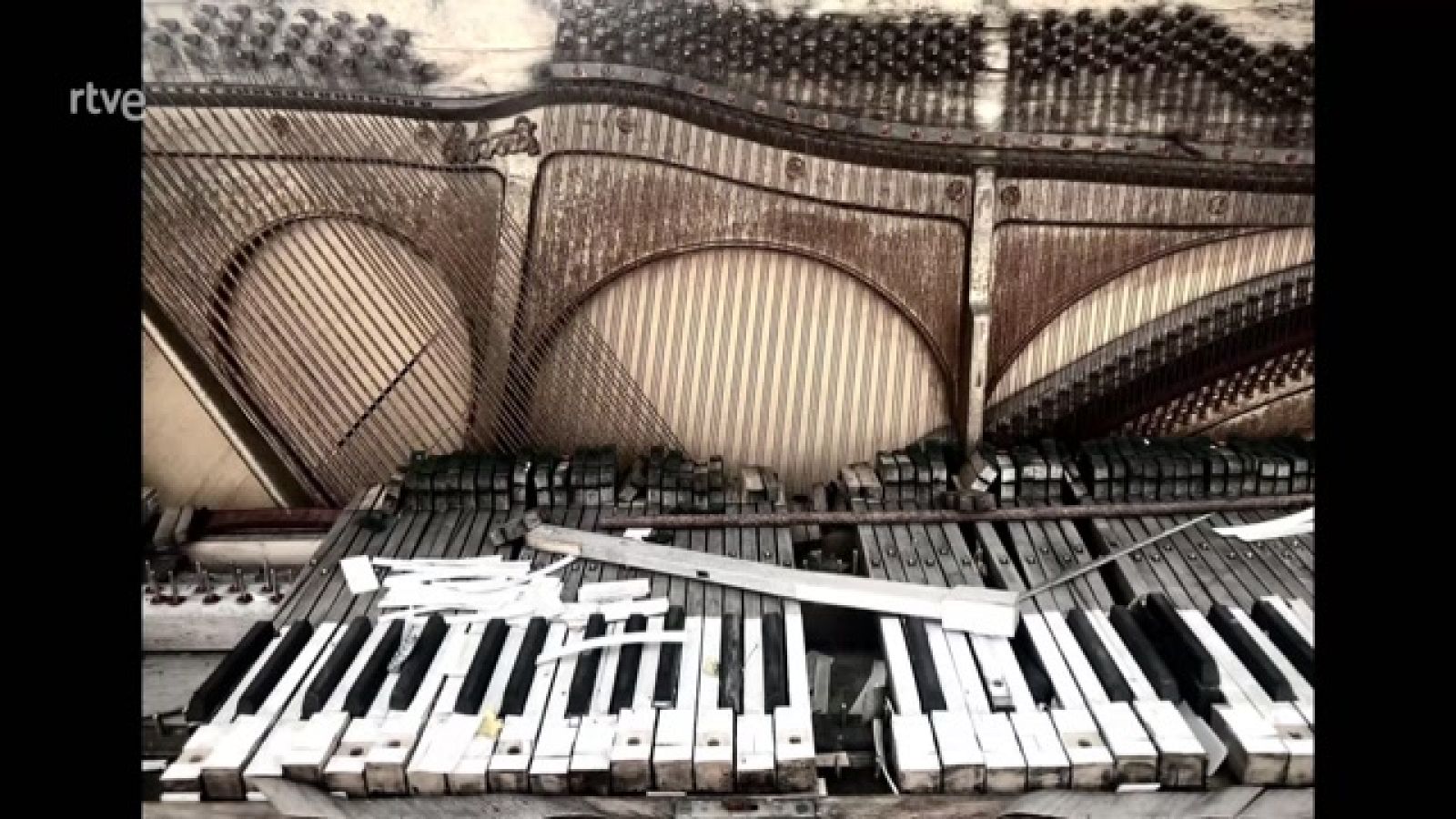 Boek visual: Martín Amoedo Roscini