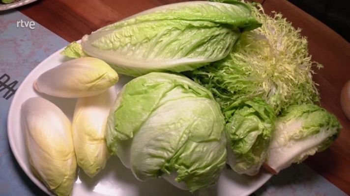 ¿Cómo identificar los distintos tipos de lechuga?