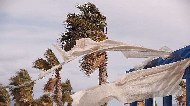 Viento fuerte en el sur de Andalucía y nieve en el sureste peninsular