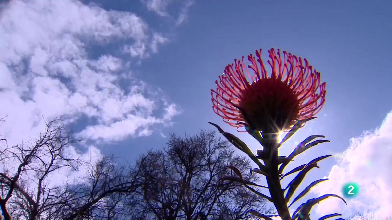 Telecanarias 2 - 10/02/2023