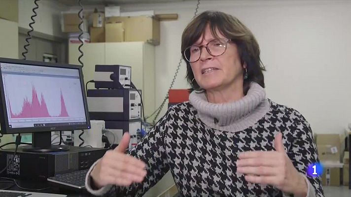 L'Informatiu - Queda feina per fer en el camí de la igualtat