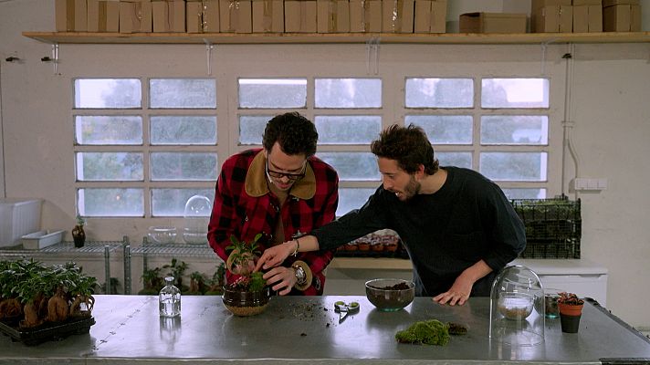 Fet a mà - Com fer un jardí dins d'un bol