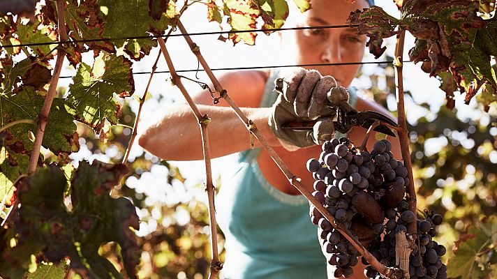 Empleadas del hogar y agricultores: los trabajadores más beneficiados por la subida del SMI