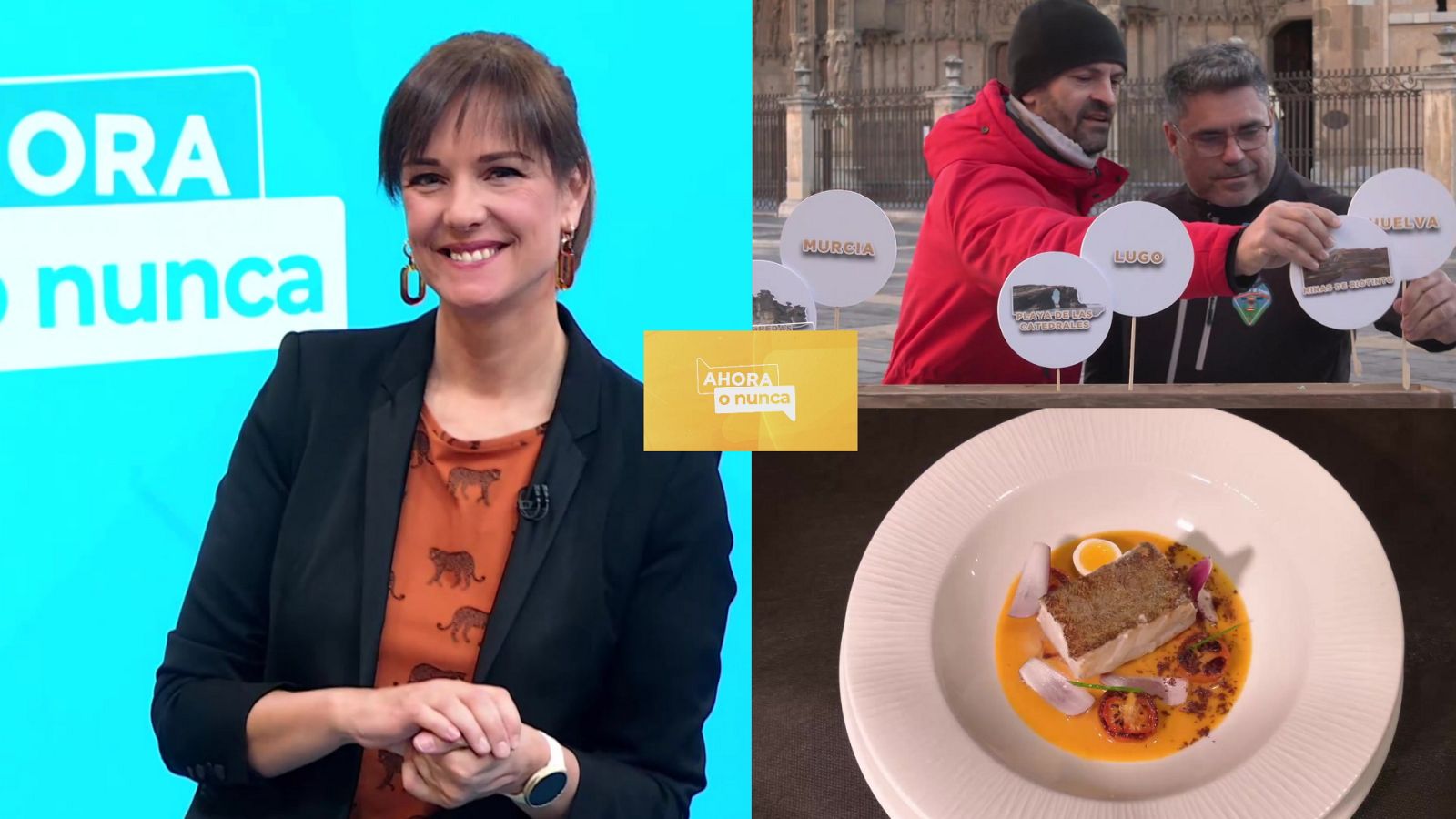 Ahora o nunca - Programa 18 - ver ahora