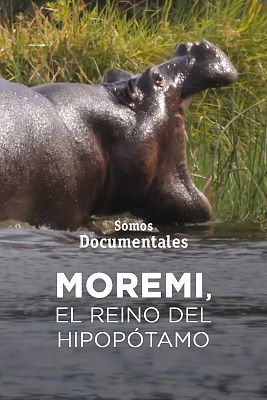 Moremi, el reino del hipopótamo