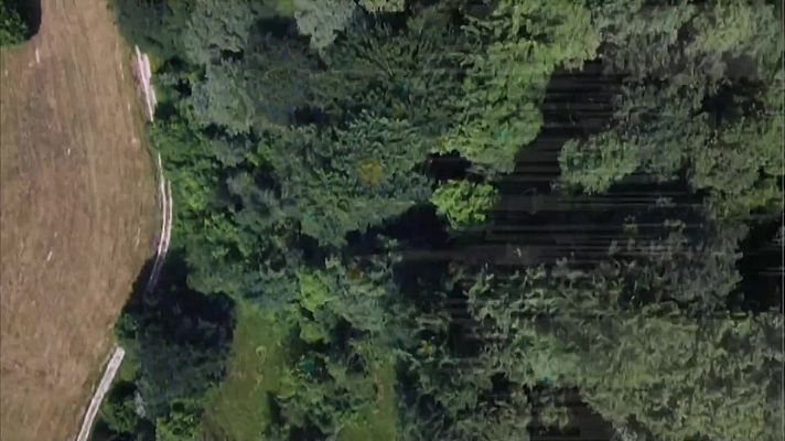 TeleCantabria - Telecantabria - 16/02/23