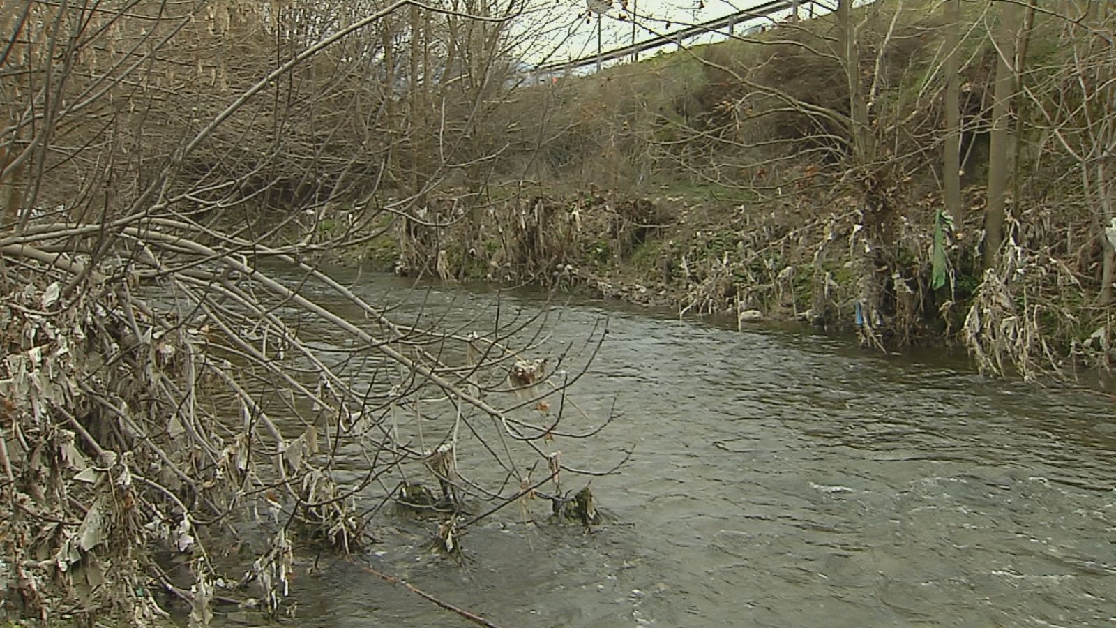 El río Genil con miles de toallitas - Ver ahora