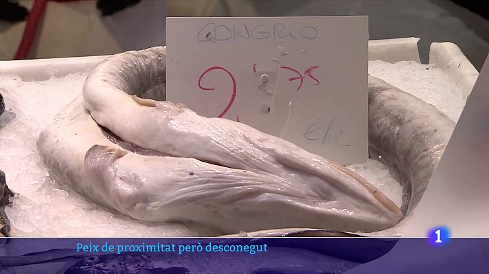 L'Informatiu - Com estalviar en la compra de peix?