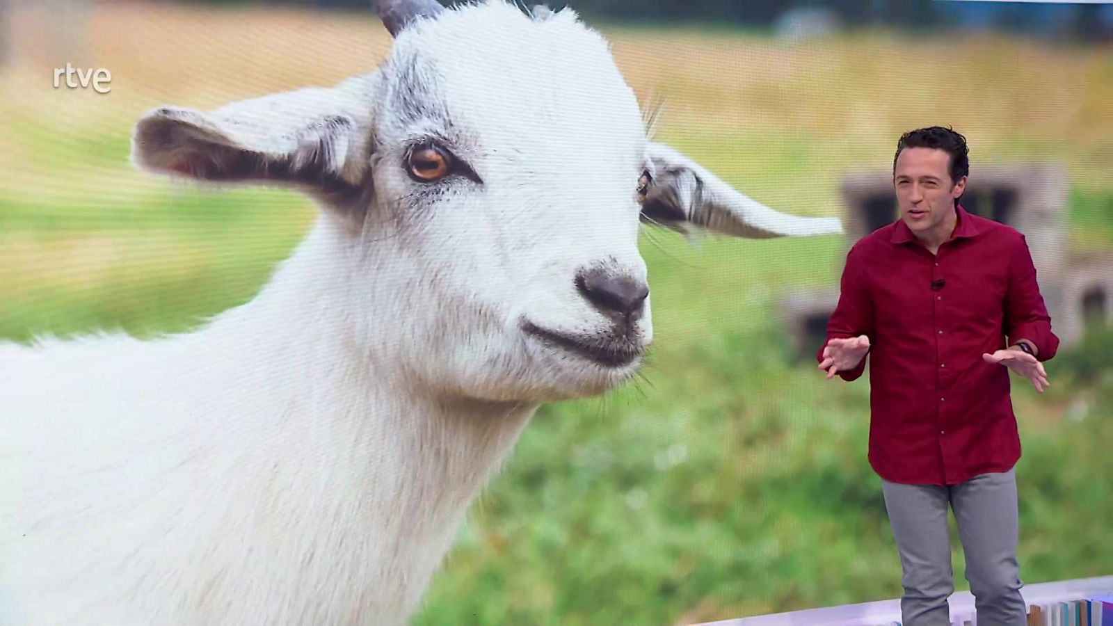 Aquí la Tierra - 16/02/23 - ver ahora