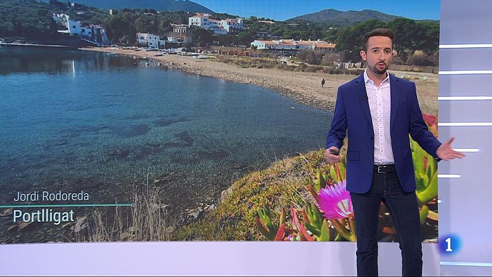 El temps - Carnaval 100% primaveral de dia i canvis la setmana vinent