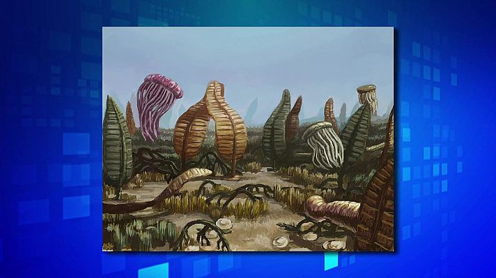 Saber y ganar - Saber y ganar - 17/02/23