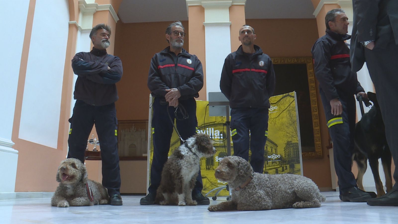 Solidaridad de los bomberos sevillanos