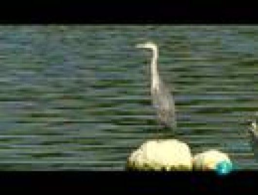 Espacios naturales - Monfragüe