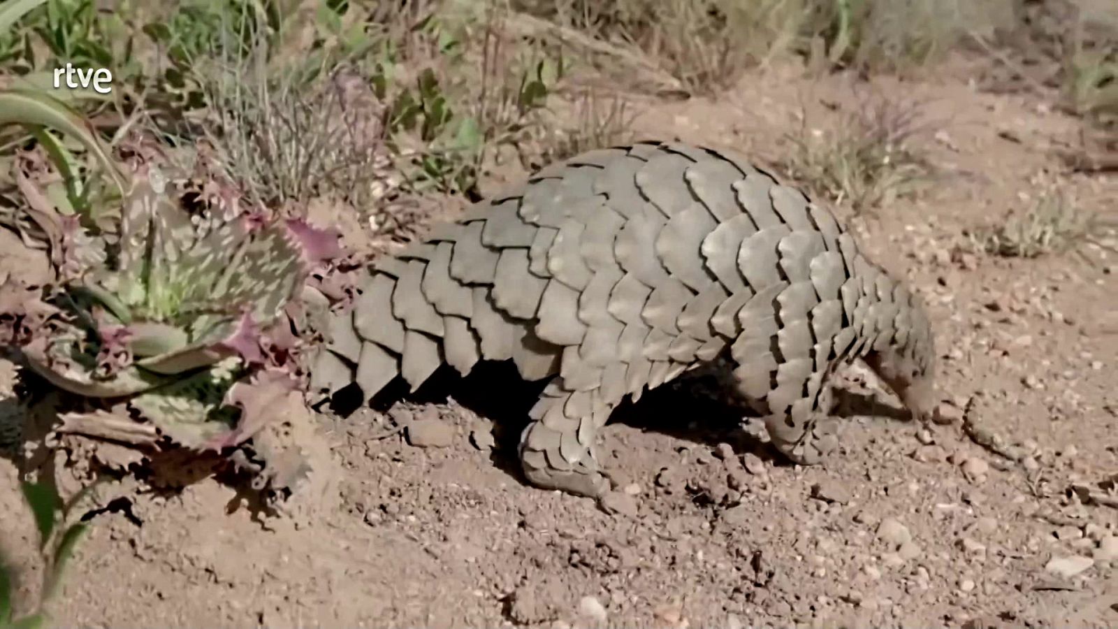 Aquí la Tierra - 17/02/23 - ver ahora