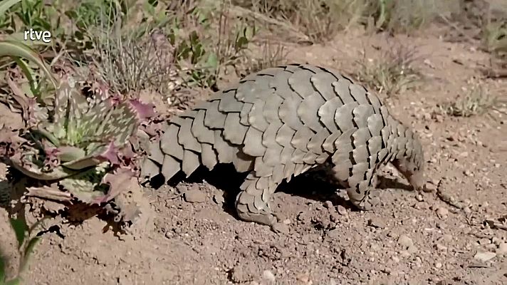 Aquí la Tierra - Aquí la Tierra - 17/02/23