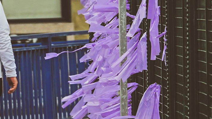 Telediario Fin de Semana - ¿Cómo funciona el sistema VioGén?