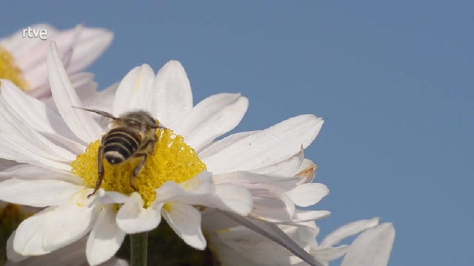 Aquí la Tierra - 20/02/23 - ver ahora