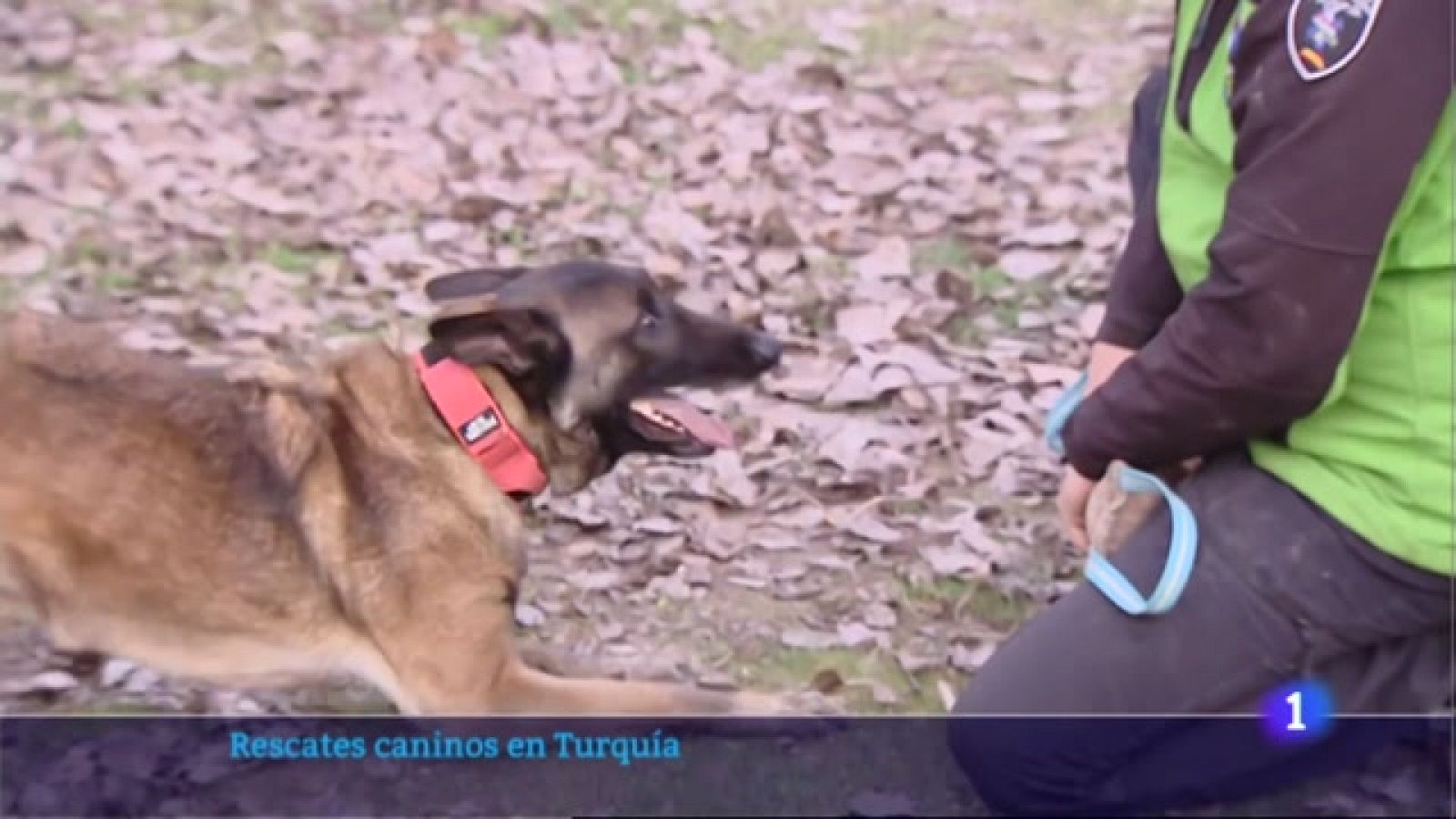 Informativo Telerioja  - 21/02/23 - Ver ahora