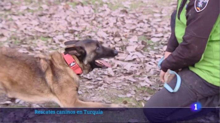 Informativo Telerioja - Informativo Telerioja  - 21/02/23