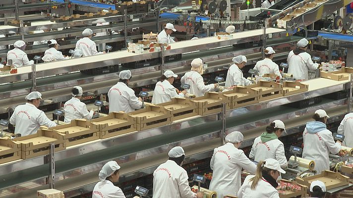 Noticias Andalucía - Contratos en origen para el campo