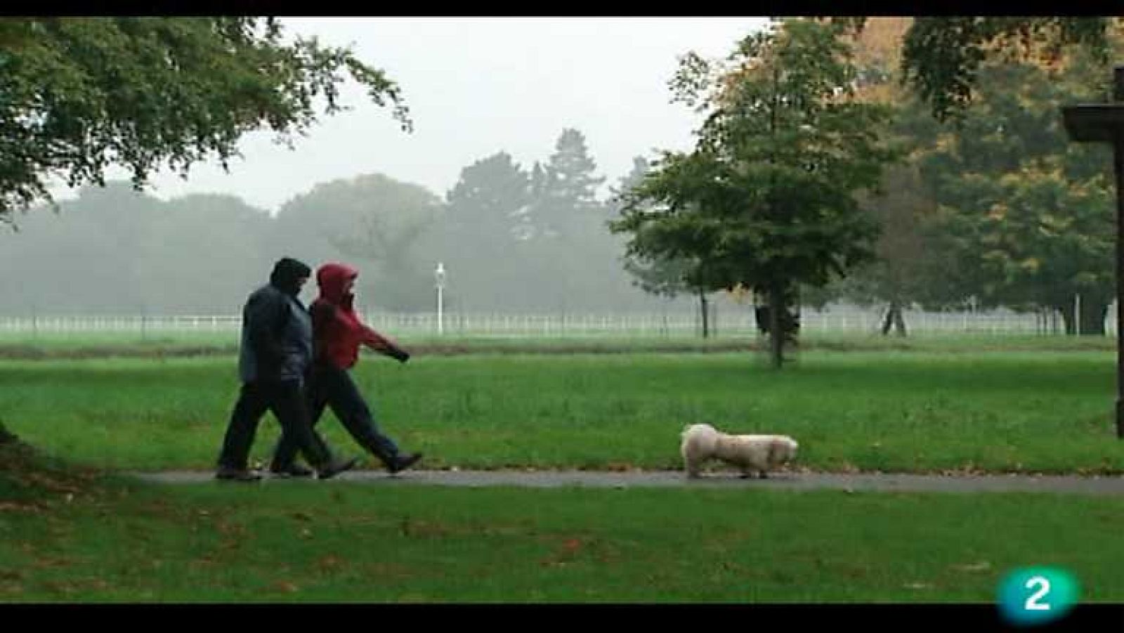 Por la ruta de la memoria - Otoño irlandés - Por la ruta de la memoria | Ver