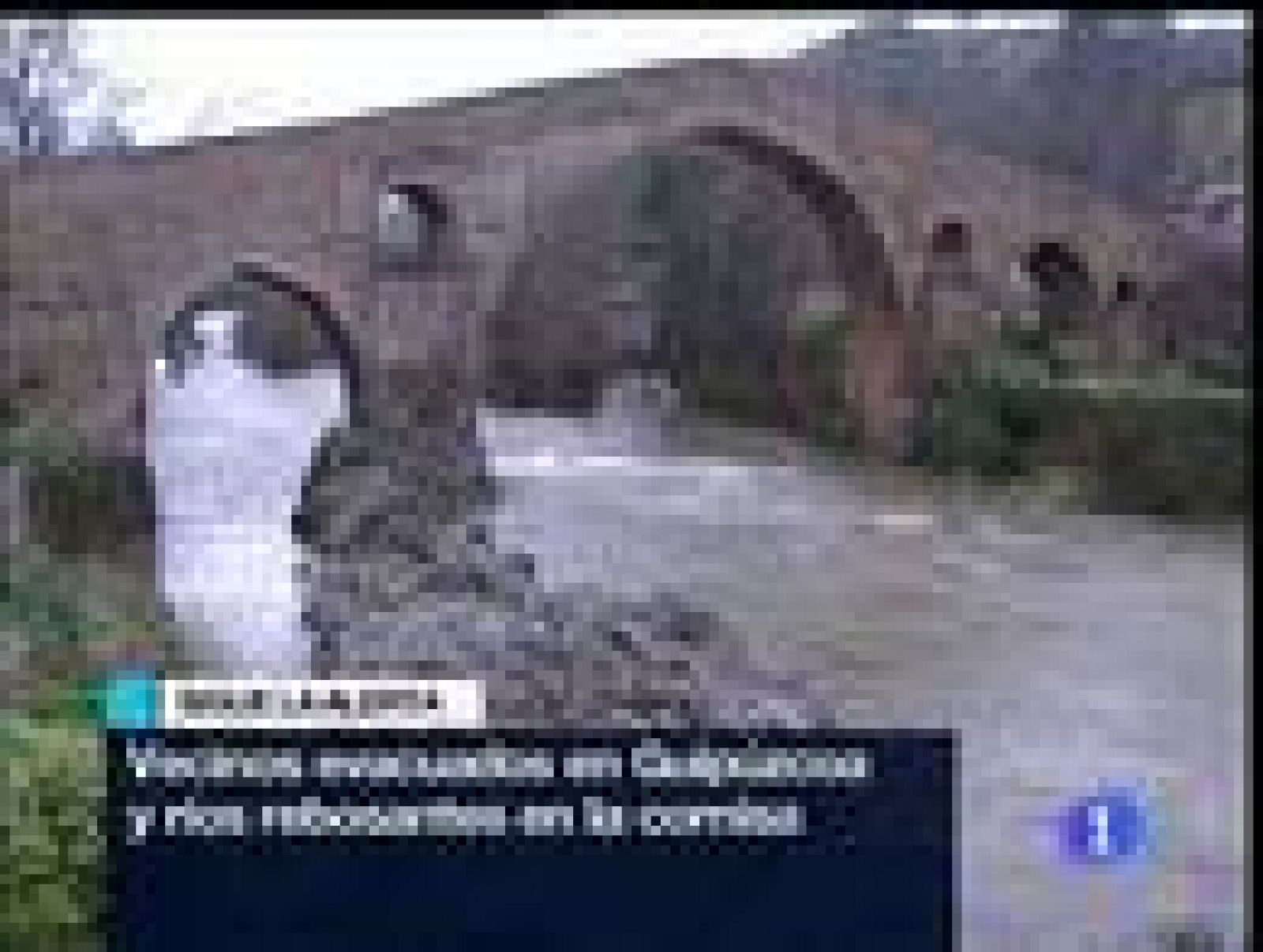 Telediario fin de semana en cuatro minutos - 31/01/10 | Ver