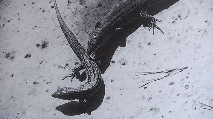 RTVE Igualdad - Exposición fotográfica 'Insuladas' sobre las mujeres de Formentera