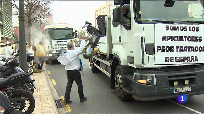 L'informatiu - Comunitat Valenciana - Los apicultores reclaman ayudas para compensar la baja rentabilidad por la importación de miel