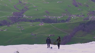 ¿Migas, a dónde vamos ahora?