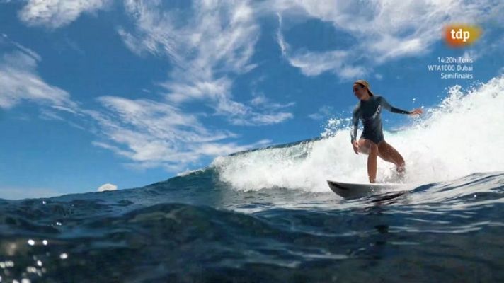 Surfing.es - T6 - Programa 6