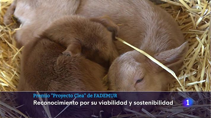 Informativo Telerioja - Informativo Telerioja 2 - 24/02/23