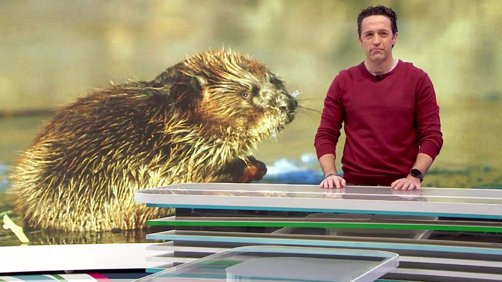 Aquí la Tierra - 24/02/23 - ver ahora