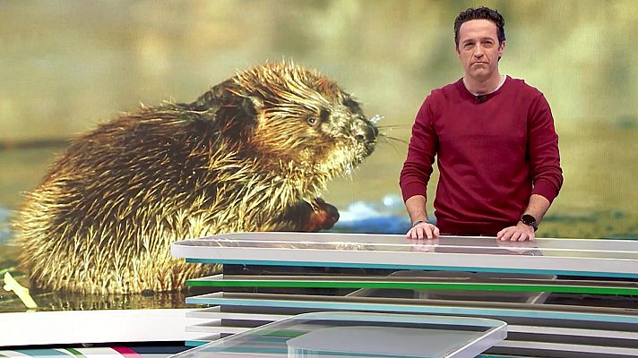 Aquí la Tierra - Aquí la Tierra - 24/02/23