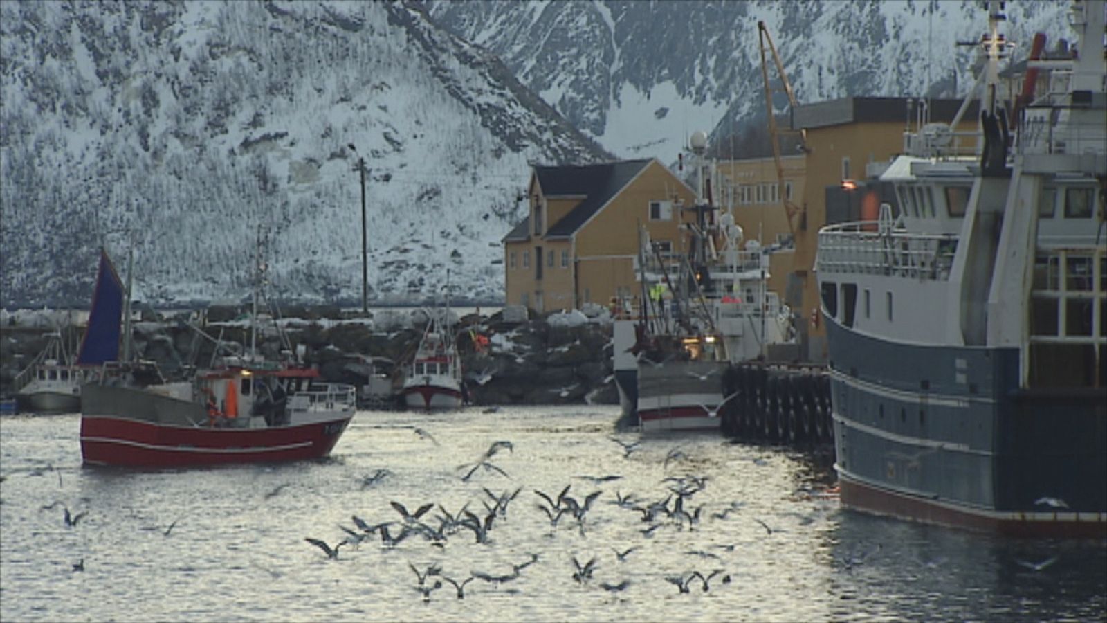 Agrosfera - 25/02/23 - ver ahora