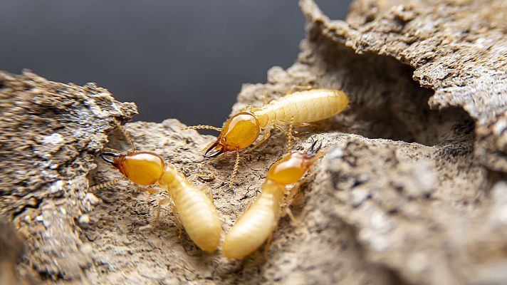 Para todos La 2 - Para todos La2 - 25/02/23