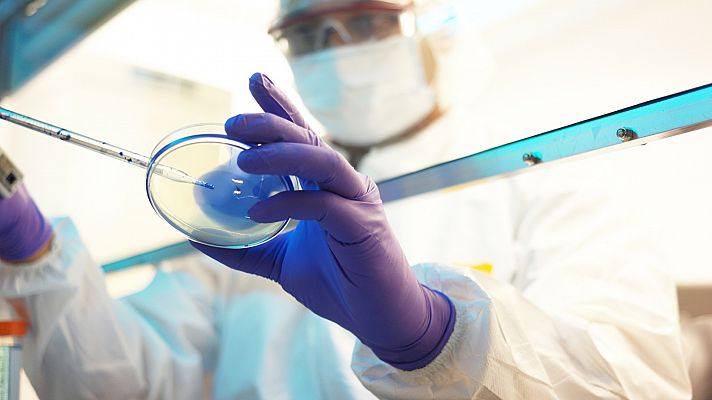 Informativo 24h - ¿Qué es virus de Marburgo?