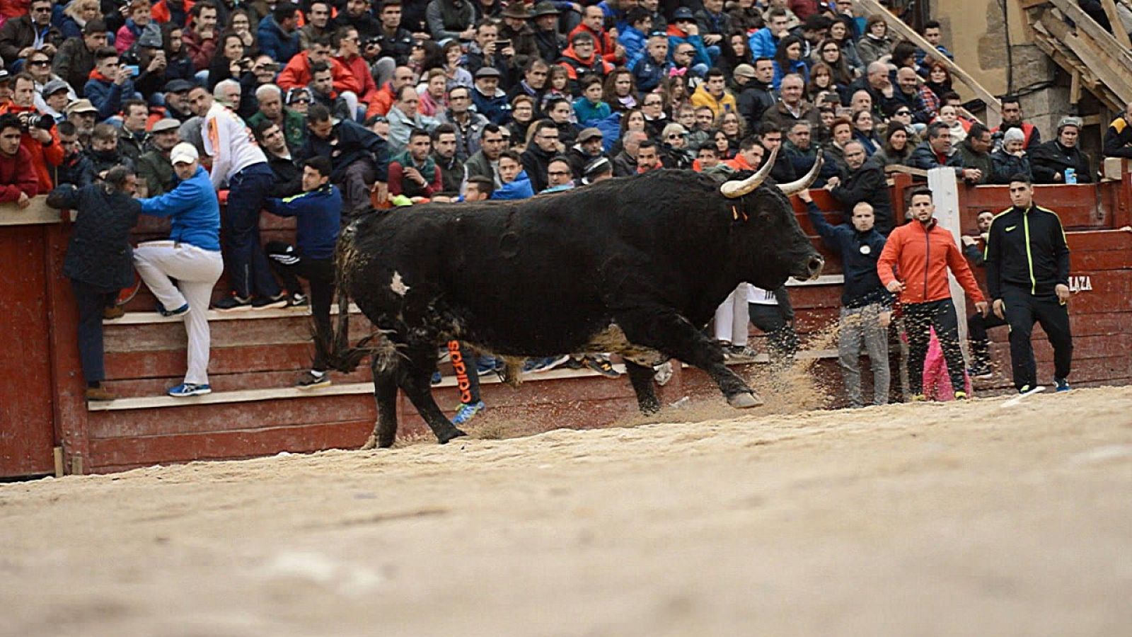 Tendido cero - 25/02/23 - ver ahora