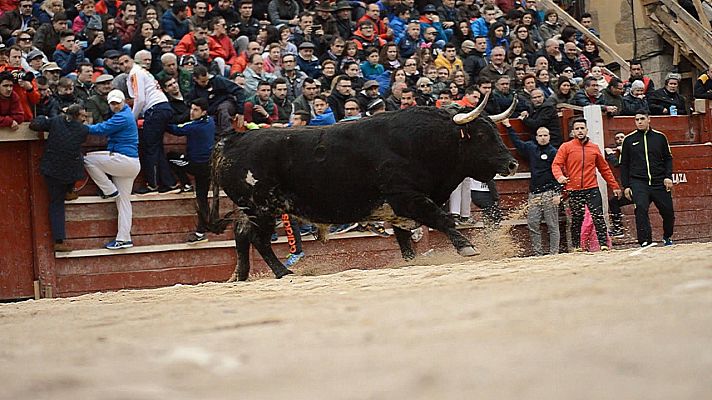Tendido cero - Tendido cero - 25/02/23