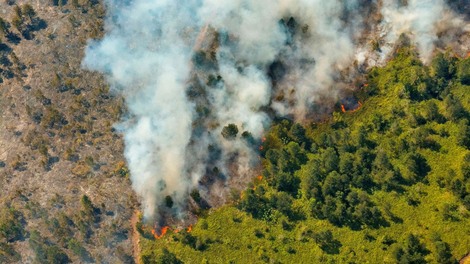 Telediario Internacional - 25/02/23 - ver ahora