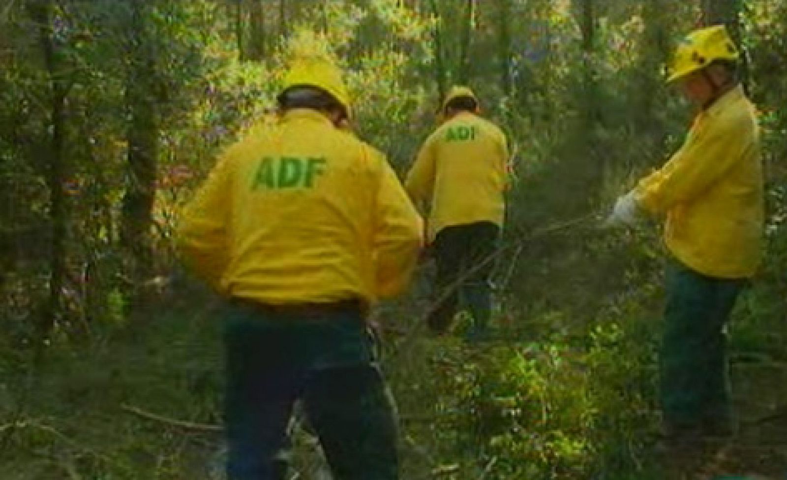 "La vacuna del foc" a granangular.cat