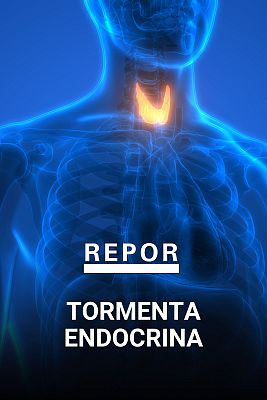 Repor - Tormenta endocrina