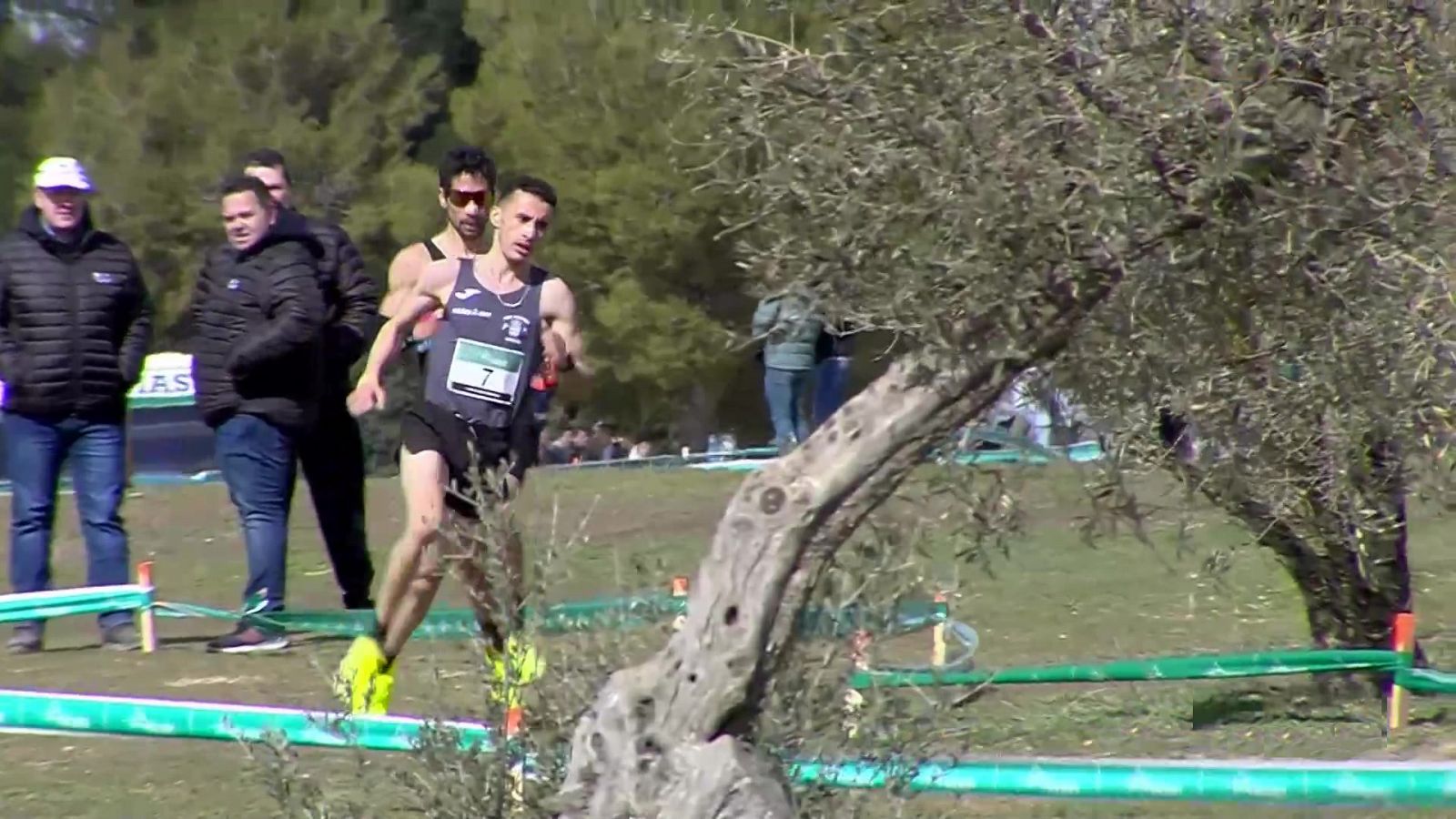 Cross nacional castellano-manchego de Quintanar. Carrera senior masculina - RTVE Play