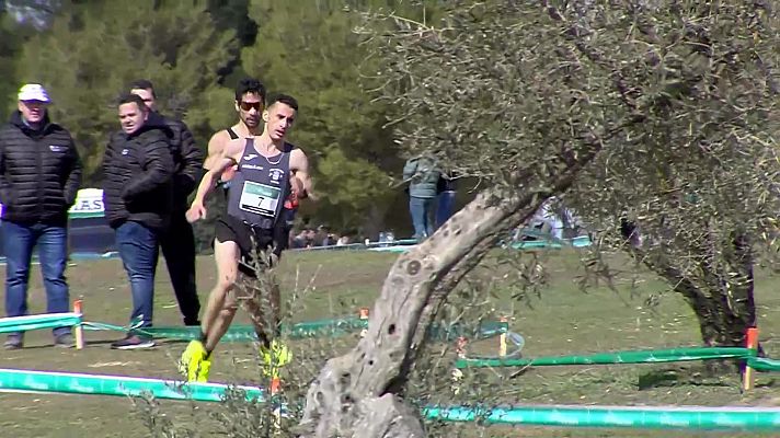 Cross nacional castellano-manchego Quintanar. C. senior masc