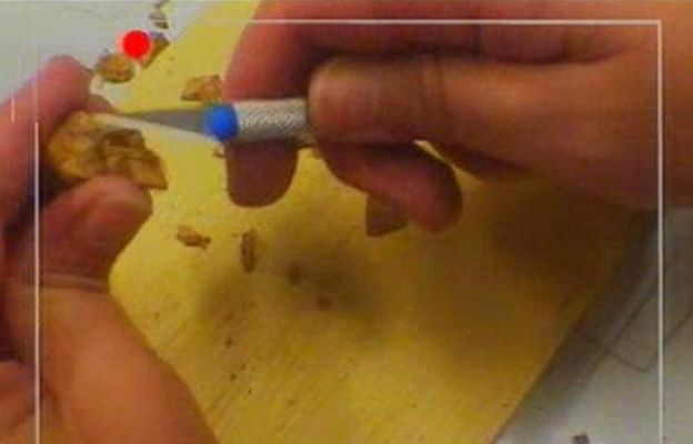 Terra Verda - Amics del planeta: Francesca Romano