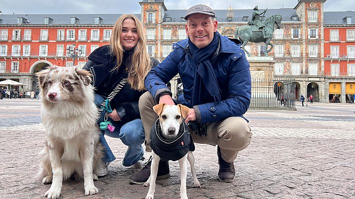 Pipper en ruta - Madrid