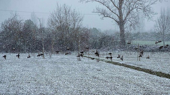 El tiempo - Heladas generalizadas en el interior de la Península y en Baleares